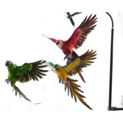 Dekoracja Papuga sztuczna kolorowa duża czerwona
