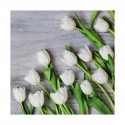 Serwetki papierowe jednorazowe tulipany wiosenne - 1