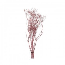 Kwiaty suszone jasno różowe na łodydze mix 55cm - 3