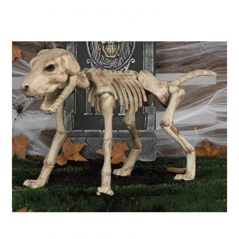 Szkielet psa dekoracja halloweenowa 60cm - 1