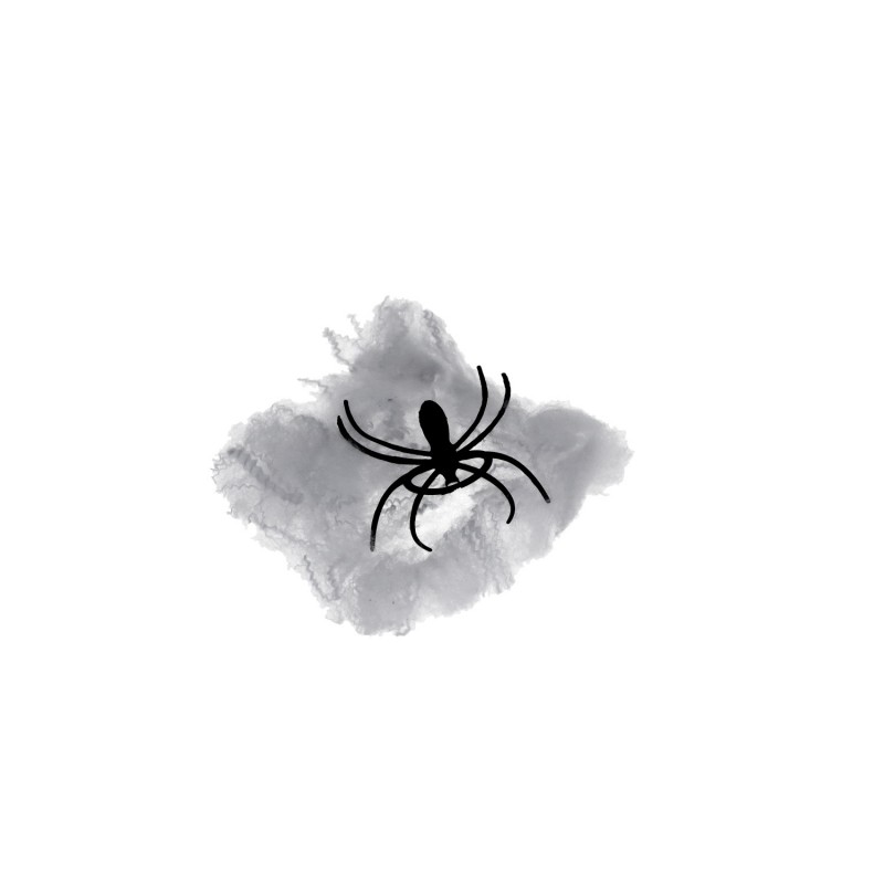 Pajęczyna biała z pająkiem 12g - 3