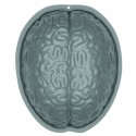 Foremka w kształcie mózgu - 1