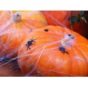 Sztuczne pająki plastikowe na halloween 10szt 3cm - 3