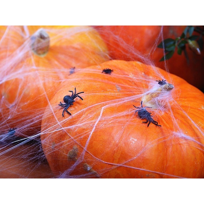 Sztuczne pająki plastikowe na halloween 10szt 3cm - 3