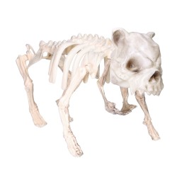 Dekoracja sztuczny szkielet psa kości Halloween