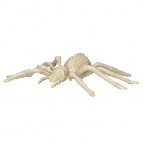 Sztuczny szkielet pająka dekoracja na halloween 25cm - 2