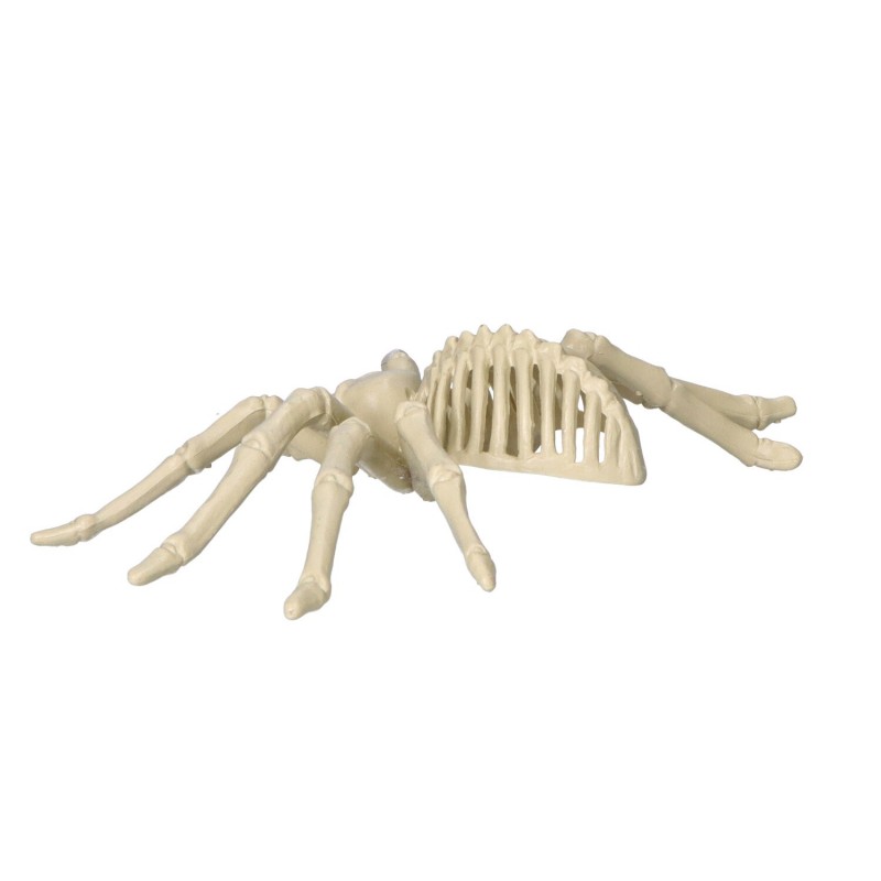 Sztuczny szkielet pająka dekoracja na halloween 25cm - 4