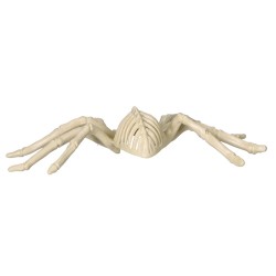Sztuczny szkielet pająka dekoracja na halloween 25cm - 5