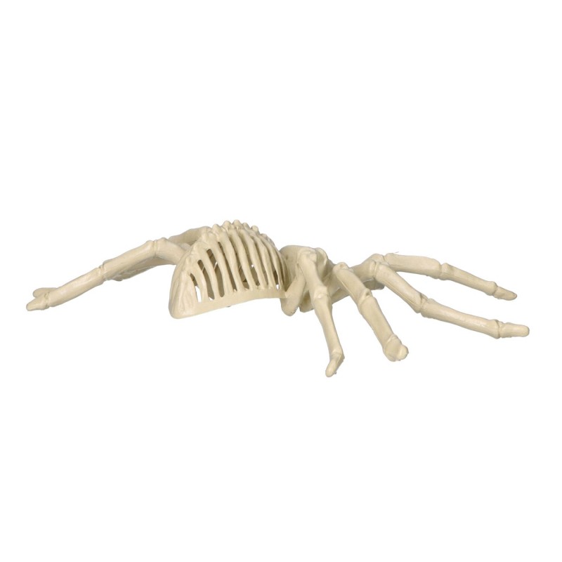 Sztuczny szkielet pająka dekoracja na halloween 25cm - 6