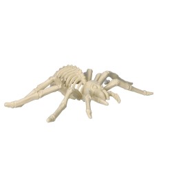 Sztuczny szkielet pająka dekoracja na halloween 25cm - 8
