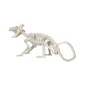 Szkielet szczura plastikowy dekoracja halloweenowa 20cm - 4