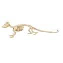 Szkielet szczura plastikowy dekoracja halloweenowa 20cm - 9
