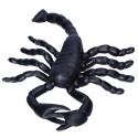 Sztuczny skorpion plastikowy czarny strach na halloween 20cm - 1