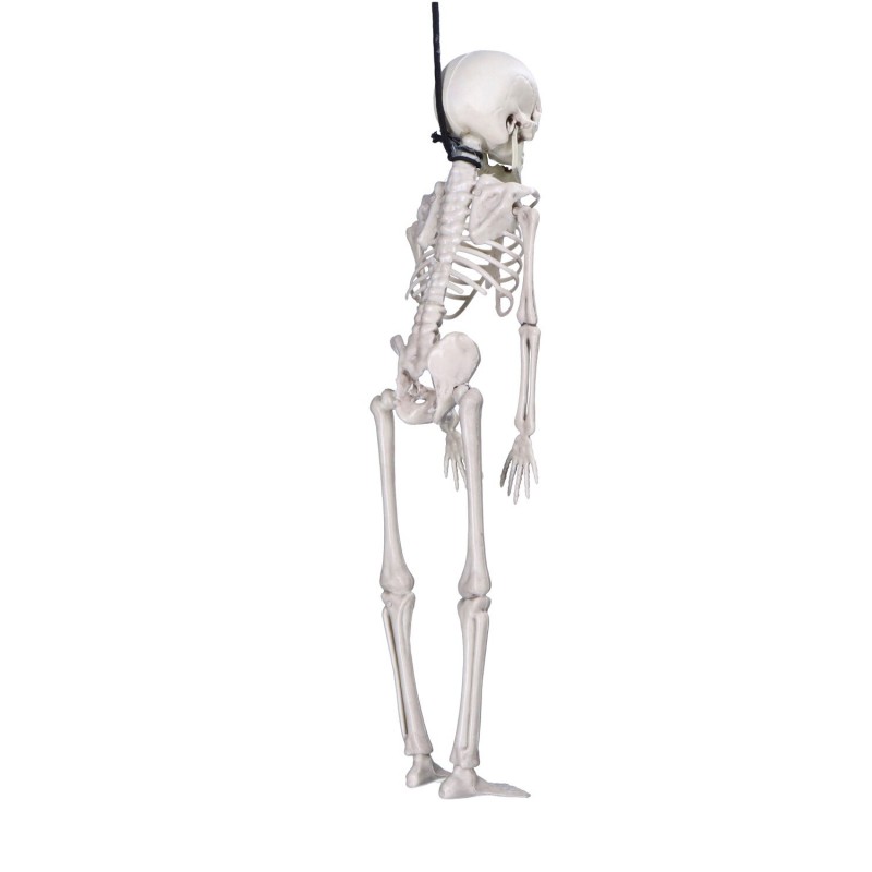 Szkielet wiszący kościotrup dekoracja halloweenowa 40cm - 3