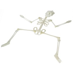 Szkielet fluorescencyjny plastikowy 75cm na Halloween - 4