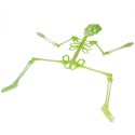 Szkielet fluorescencyjny plastikowy 75cm na Halloween - 5