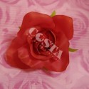 Róża atłasowa czerwona - 1