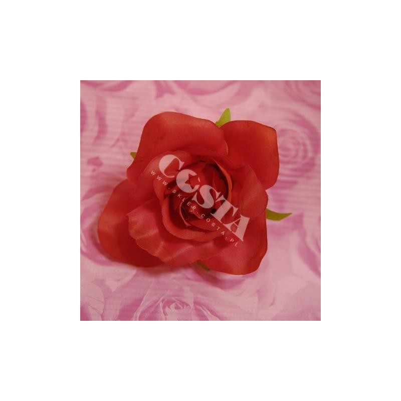 Róża atłasowa czerwona - 1