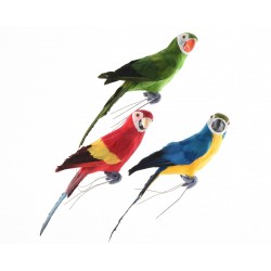 Papuga kolorowa dekoracyjna ozdoba zwierzęta ptak - 1
