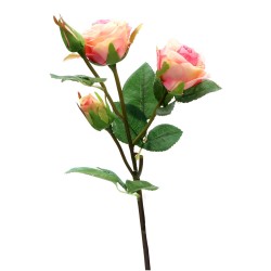 Róża gumowa - 2