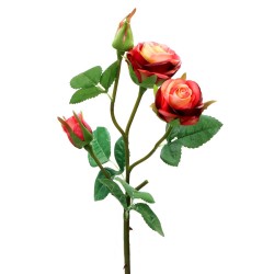 Róża gumowa - 3