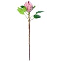 Prothea na łodydze sztuczny kwiat duży różowy 52cm - 3