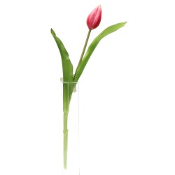 Tulipan gumowy 32cm - 3