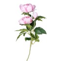 Piwonia gałązka jasno różowa 3 kwiaty 75cm - 1