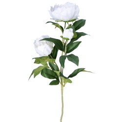 Piwonia gałązka biała 3 kwiaty 75cm - 1