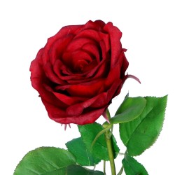 Róża gałązka XL czerwona 68cm - 2