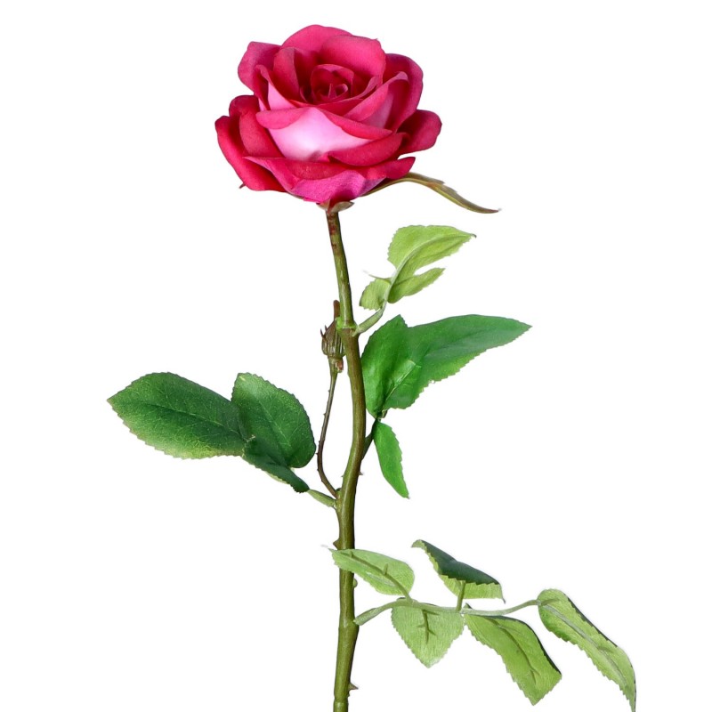 Róża gałązka fuksja 66cm - 2