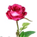 Róża gałązka fuksja 66cm - 3