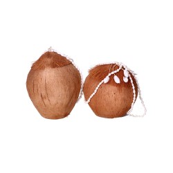 Karmnik dla ptaków łupina kokosa biała/brązowa - 4
