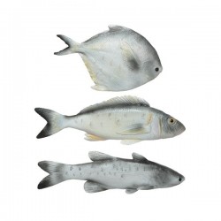 Ryba szara dekoracyjna różne wymiary morskie rybki