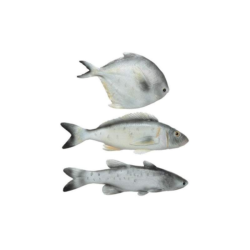 Ryba szara dekoracyjna różne wymiary morskie rybki - 1