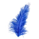 Pawie pióro niebieskie dekoracyjne ozdobne 50cm