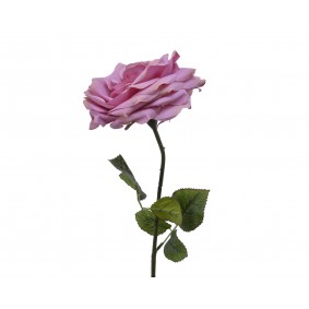 Róża poliestrowa - 1