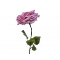 Róża poliestrowa - 1