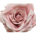 Róża kwiat sztuczna pudrowa ozdobna dekoracja - 3