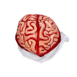 Sztuczna rana mózg z bandażem opaska Halloween
