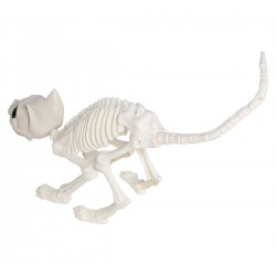 Szkielet kota upiorna dekoracja na halloween - 3