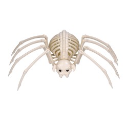 Szkielet tarantuli pająka dekoracja halloweenowa
