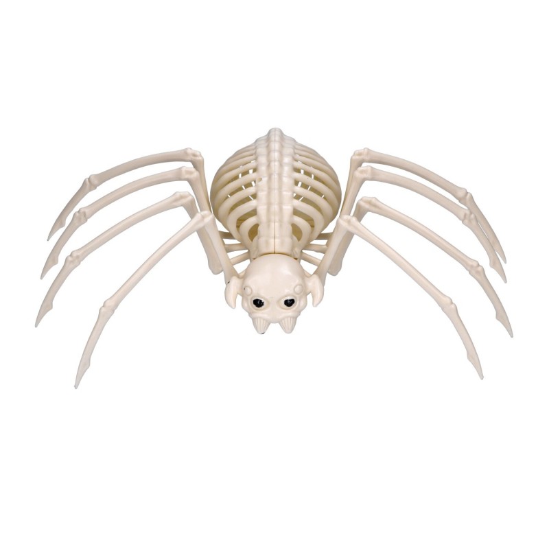 Szkielet tarantuli pająka dekoracja halloweenowa