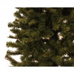 Choinka gęsta zielona drzewko jodła karolina 240cm - 2
