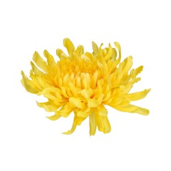 Sztuczny kwiat żółta chryzantema główka biały 20cm