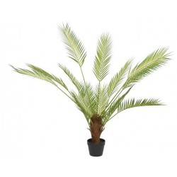 Palma zielona roślina w doniczce duża 80x120cm