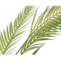 Palma zielona roślina w doniczce duża 80x120cm - 2