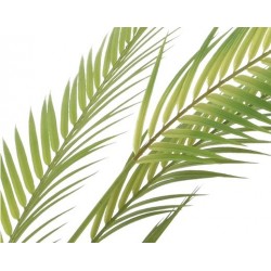 Palma zielona roślina w doniczce duża 80x120cm - 2
