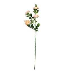 Róża gałązka (5 kwiatów) mix