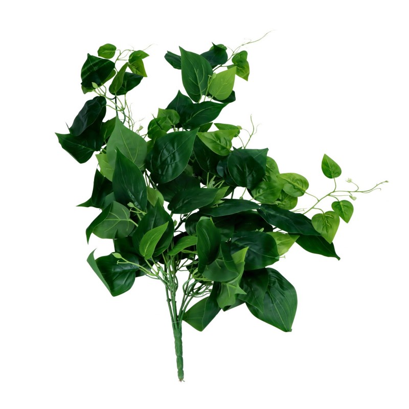 Bluszcz zielony duże liście 80cm